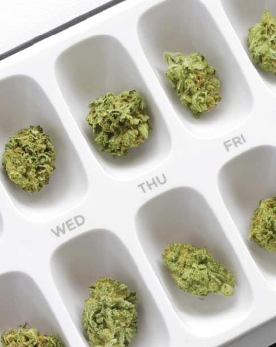cannabis light