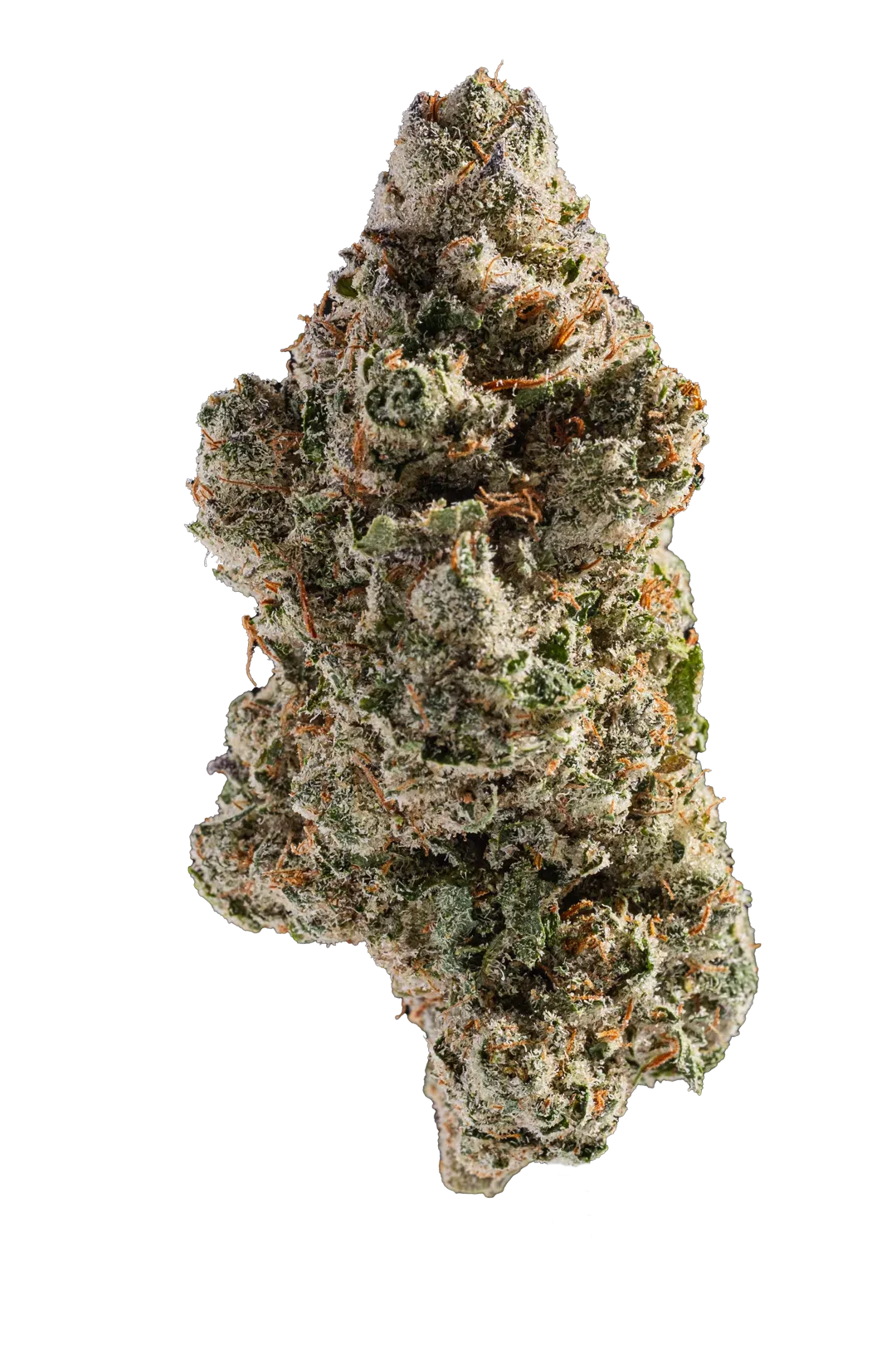 Snowing In Dam - Cannabis Light - Cbd - Indoor Top Quality - Novita'