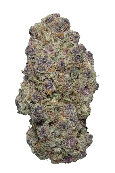 Infiorescenza di cannabis light Milka Pop CBD indoor premium, con tricomi visibili e sfumature viola. Aroma dolce e cremoso, uso tecnico.