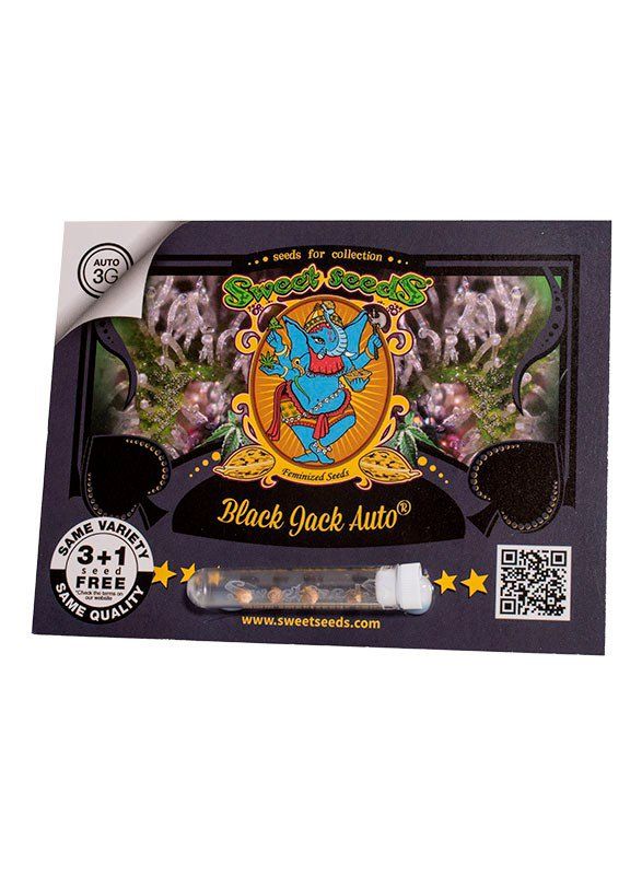 Semi di Cannabis Black Jack Autofiorente