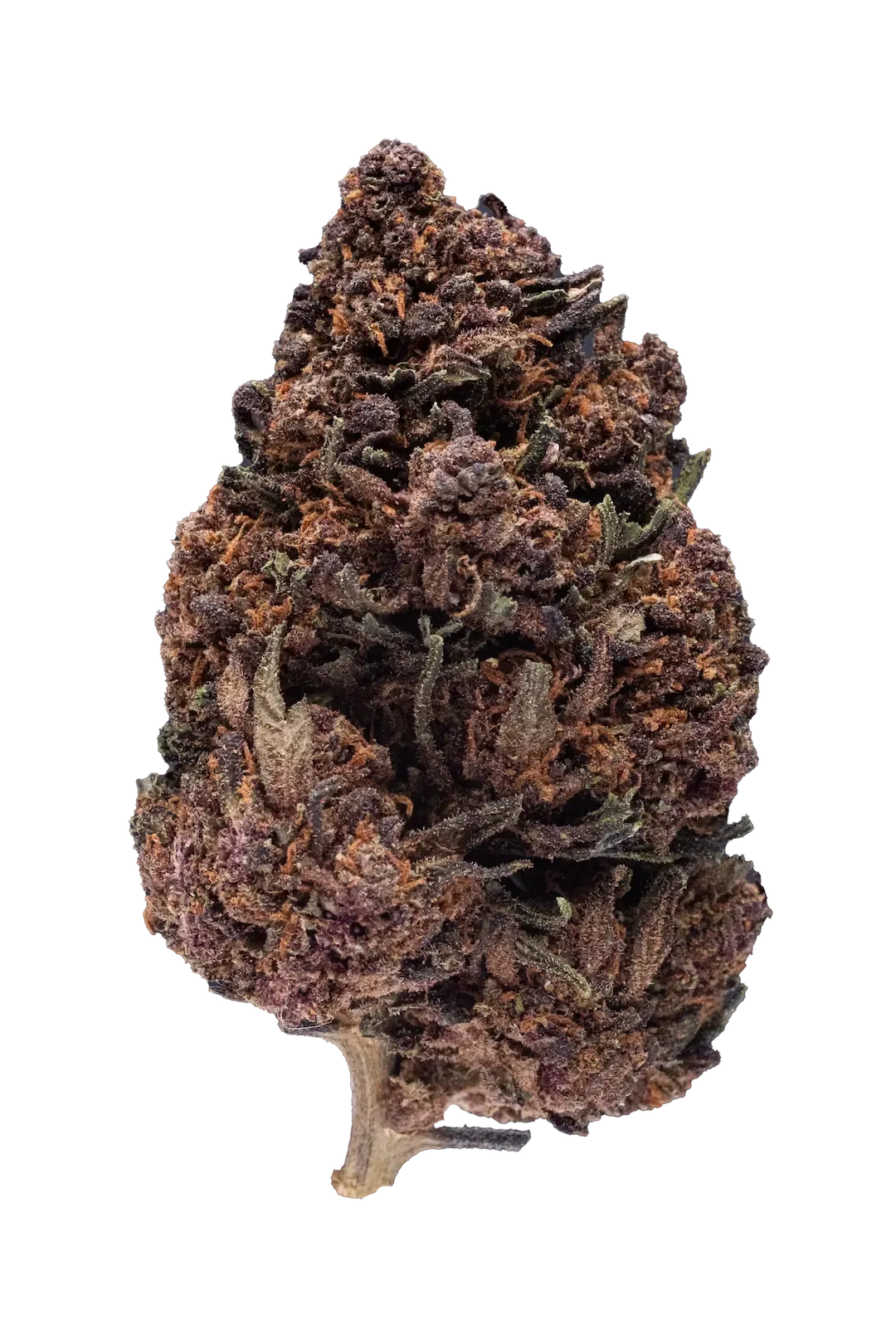 Cannabis Light - Pink Lady Cbd - Greenhouse