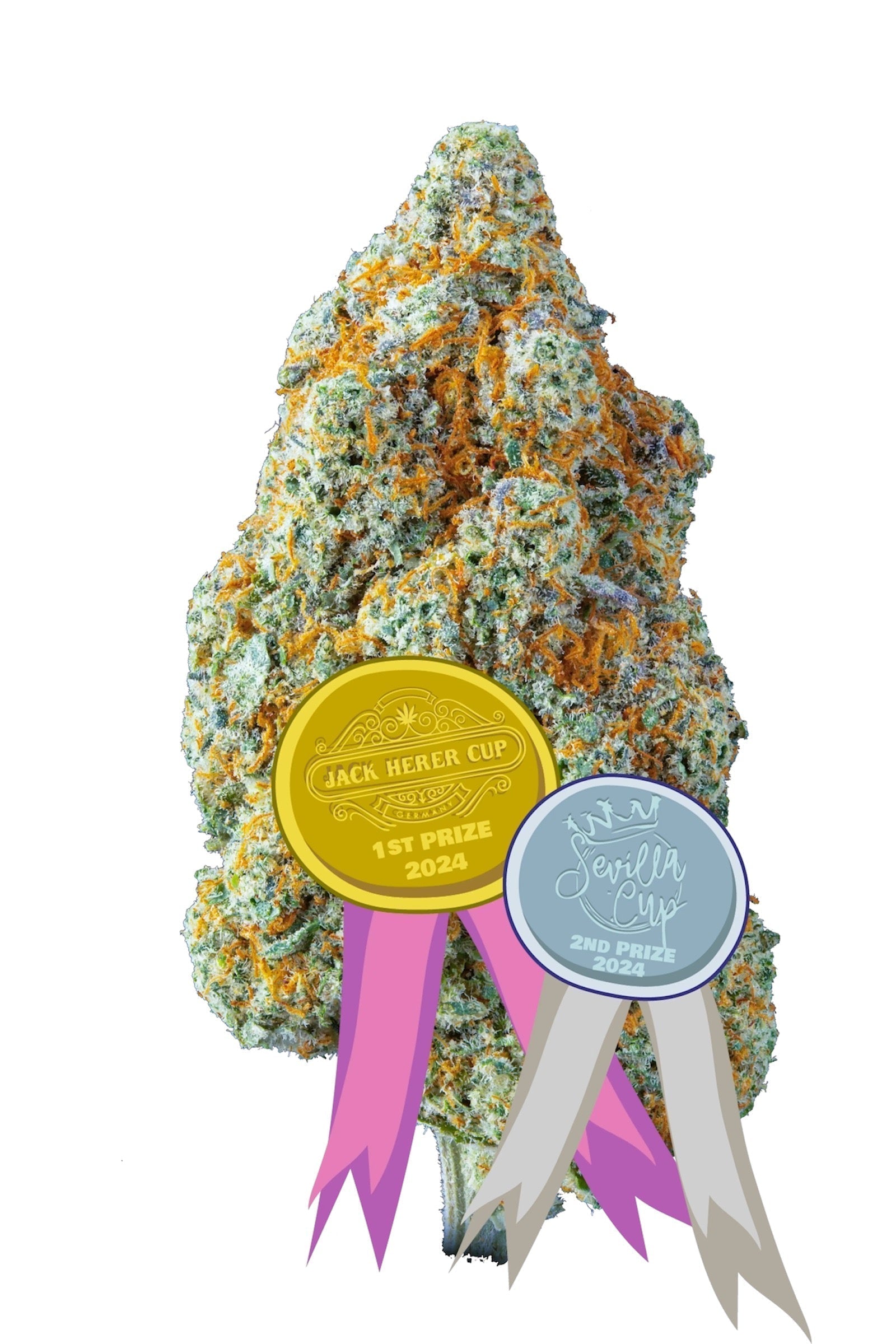 Cannabis Light - Lemon Kush Pop Cbd - Indoor Top Quality