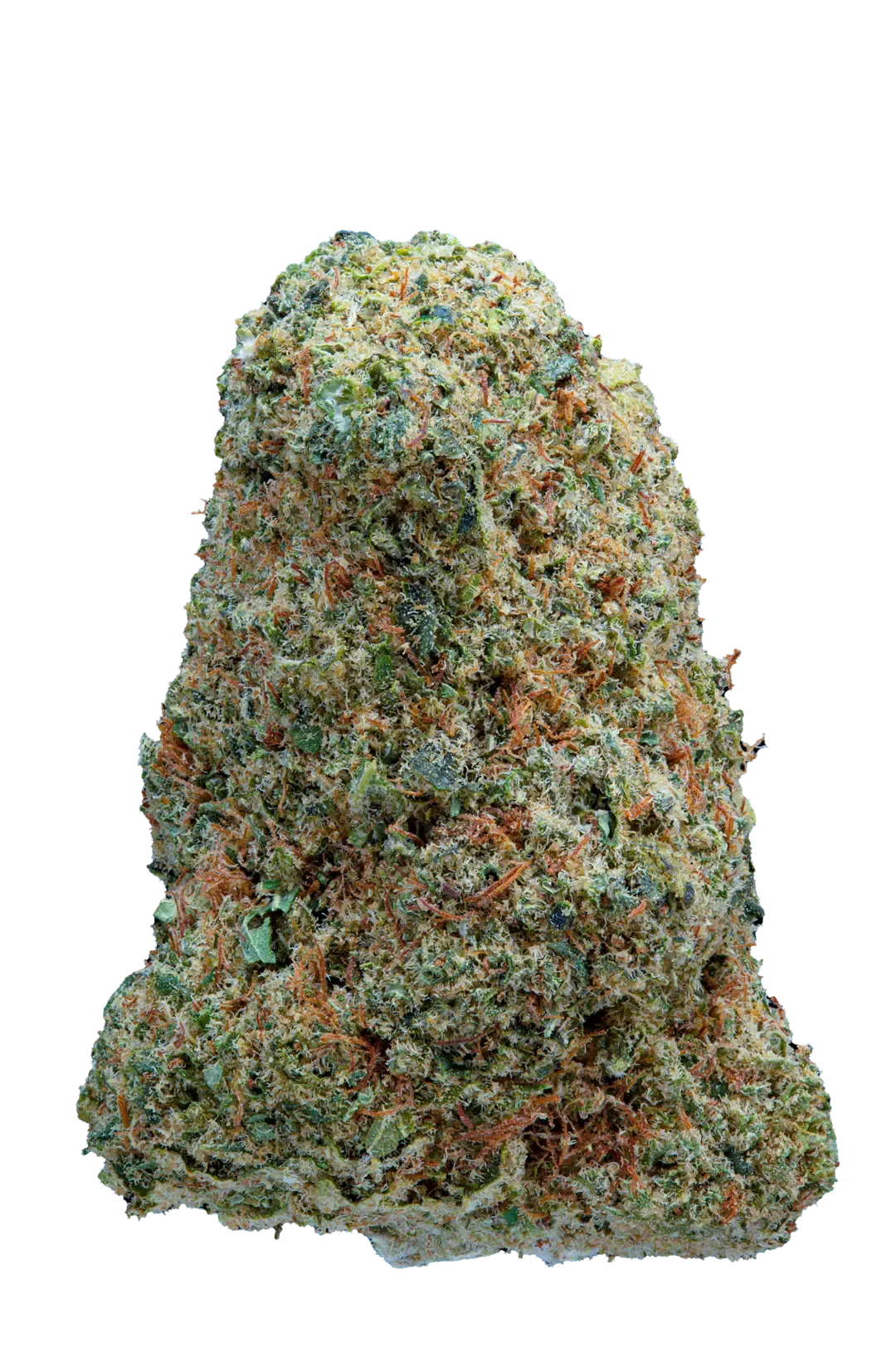 Canapa Light Indoor CBD Qualità Superiore by M.A.C