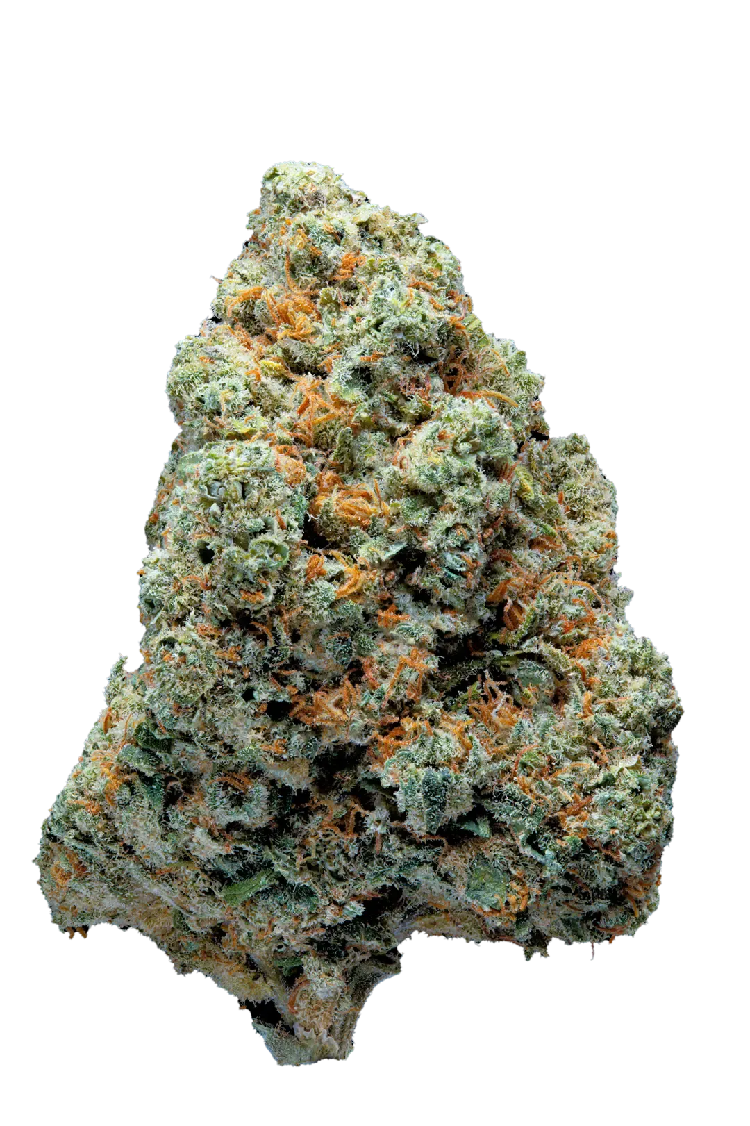 Amnesia Hy-Pro - Cbd - Cannabis Light - Indoor Top Quality