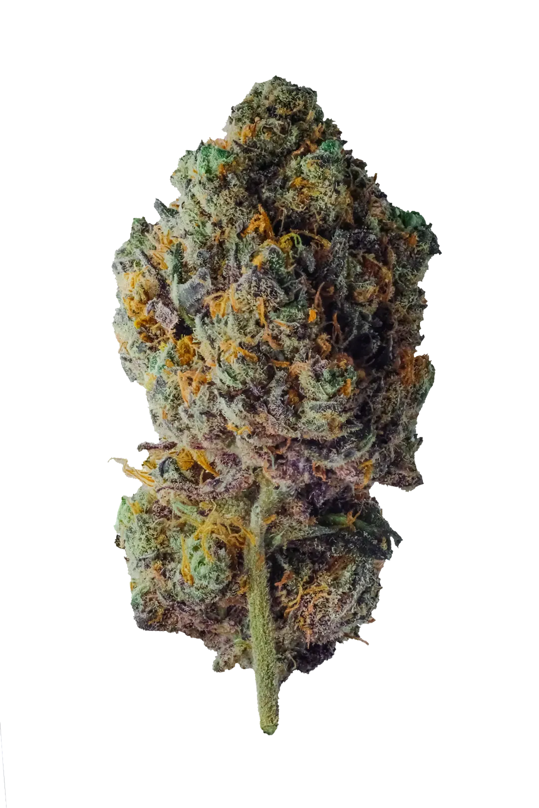 PURPLE HAZE | CBD | CANNABIS LEGALE | TOP QUALITY U.S.A 🇺🇸
