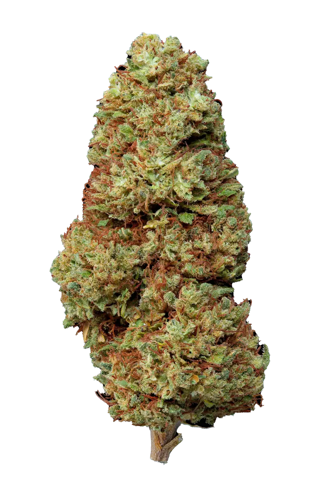Lemon Haze - Cbd- Cannabis Light - Greenhouse - Novità