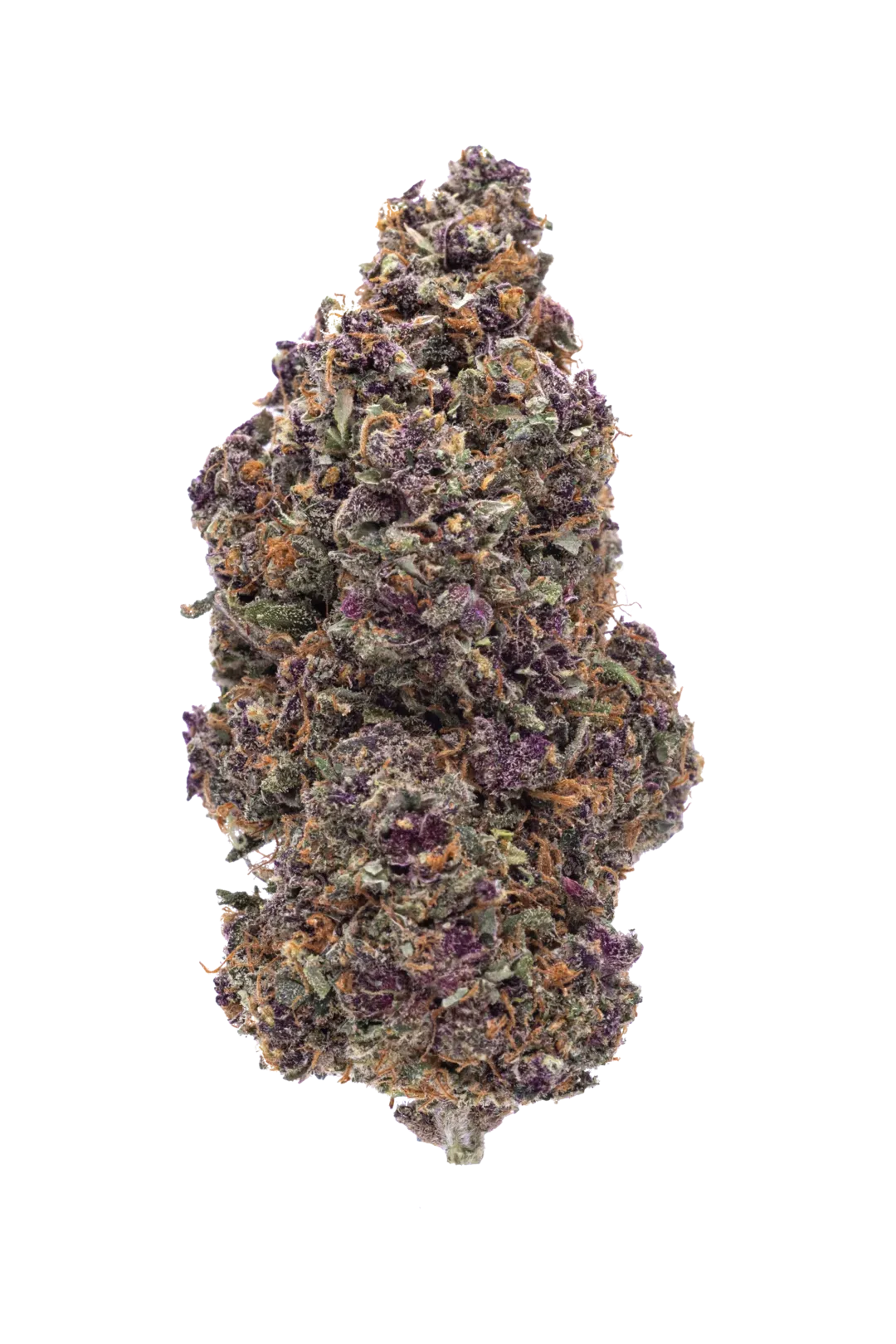 Infiorescenza di cannabis light Pink Void CBD indoor top quality, con tonalità viola intense e tricomi visibili, novità premium per intenditori.