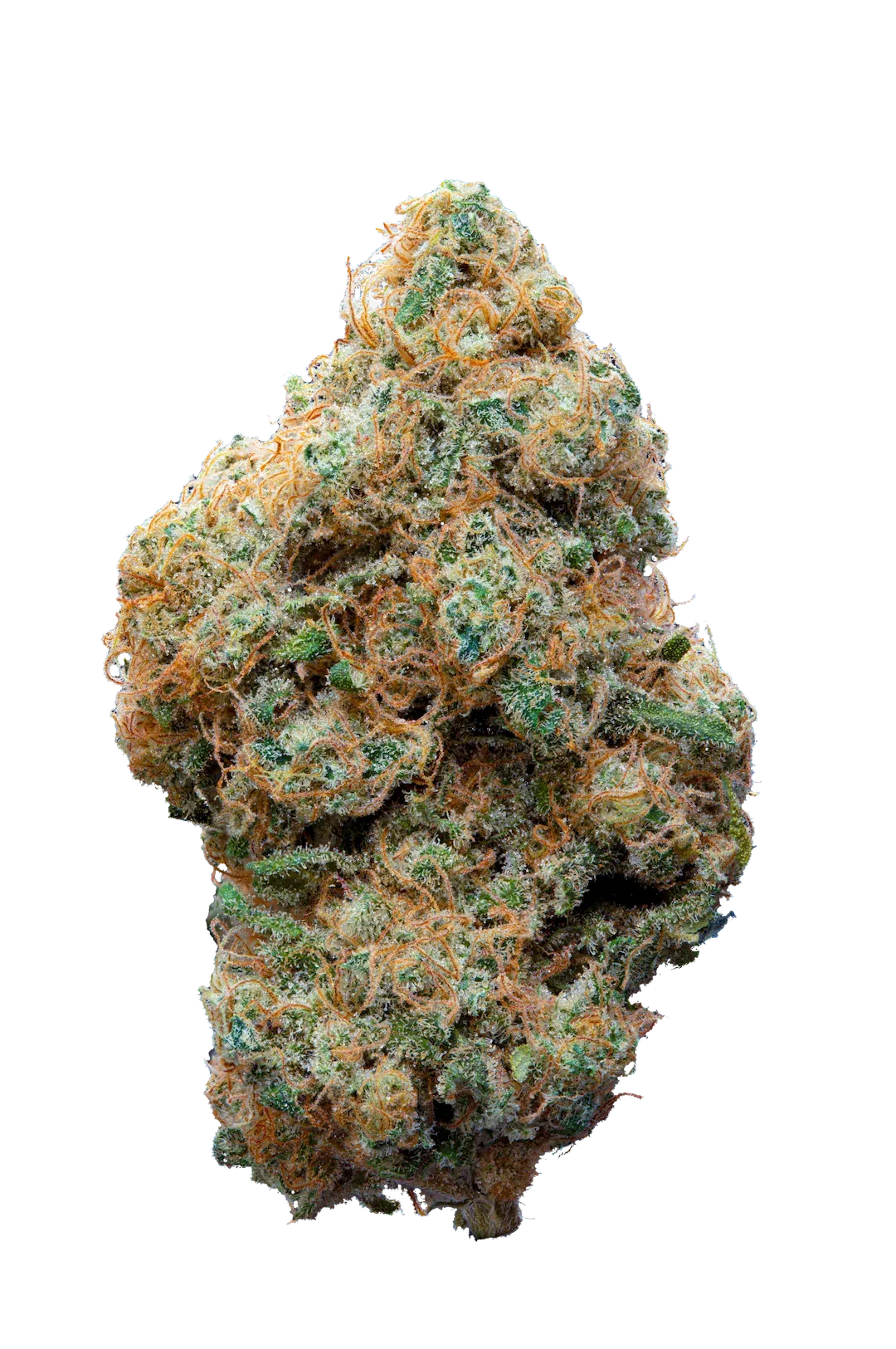 F.O.G - Cannabis Light - Cbd - Indoor Top Quality