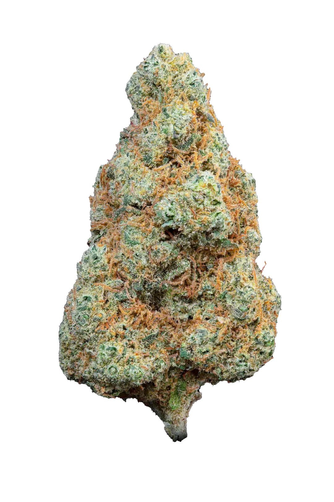 Gorilla Mandarine - Cbd - Cannabis Light - Indoor - Top Quality