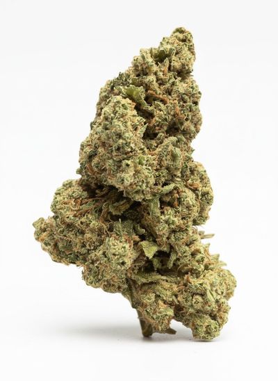 Platinum Panther CBD - Fiore CBD Outdoor di Alta Qualità