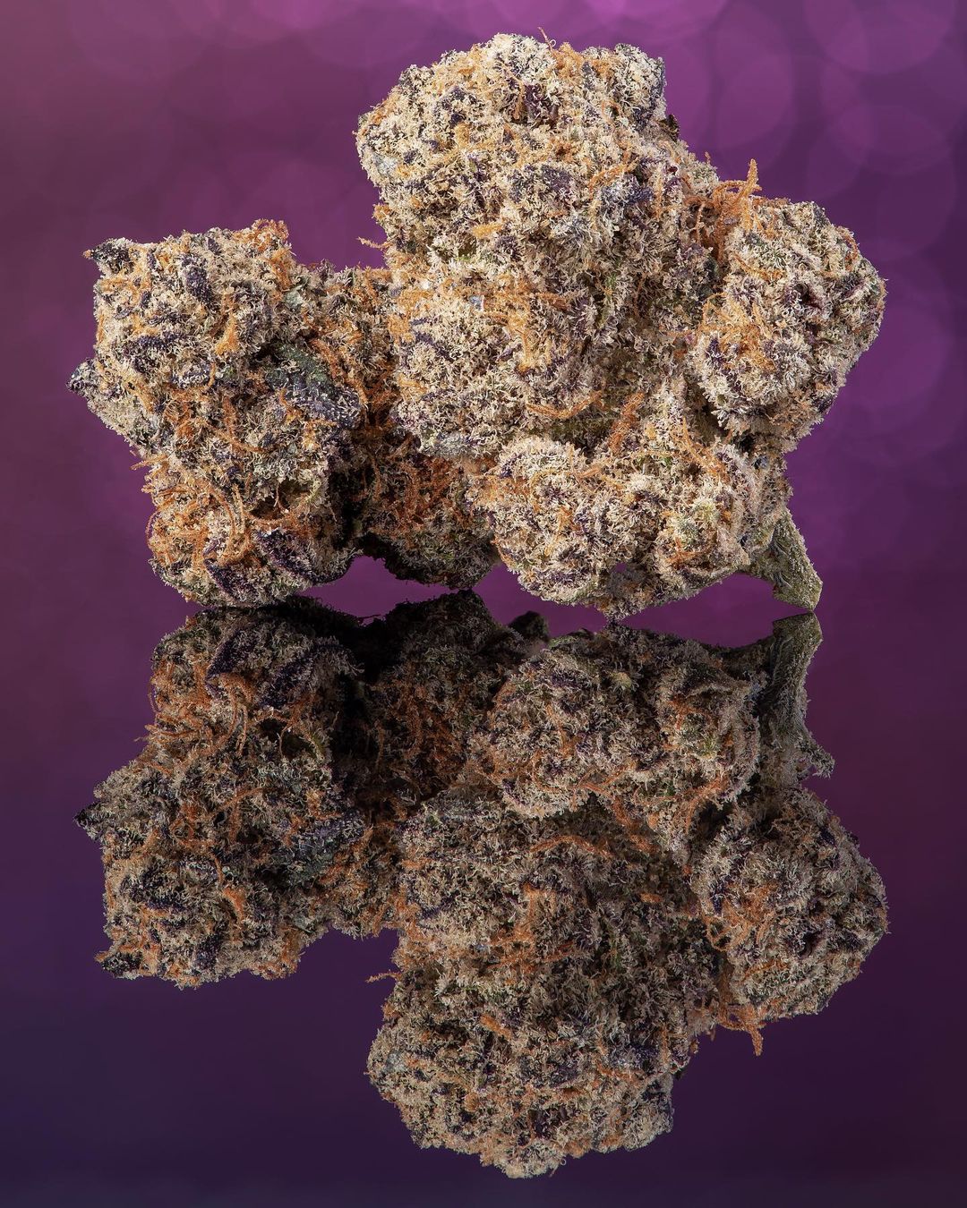 Compound Genetics - Apples & Bananas - Talee Ornamentali - Cloni Elitè