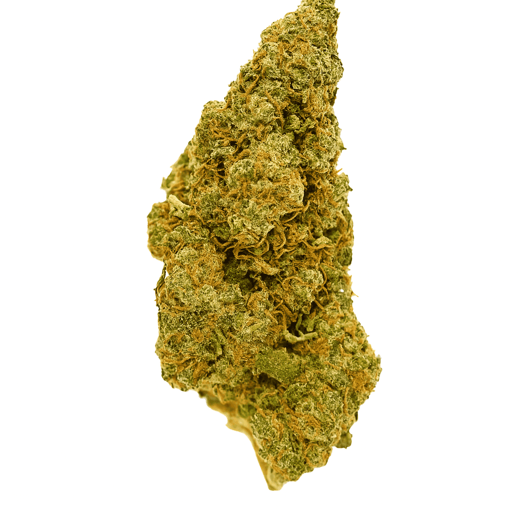 tropik frost indoor premium top quality cbd cannabis light