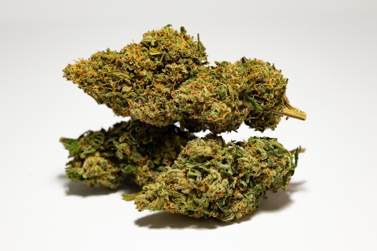 Pacchetto Degustativo Cannabis Legale CBD 5g