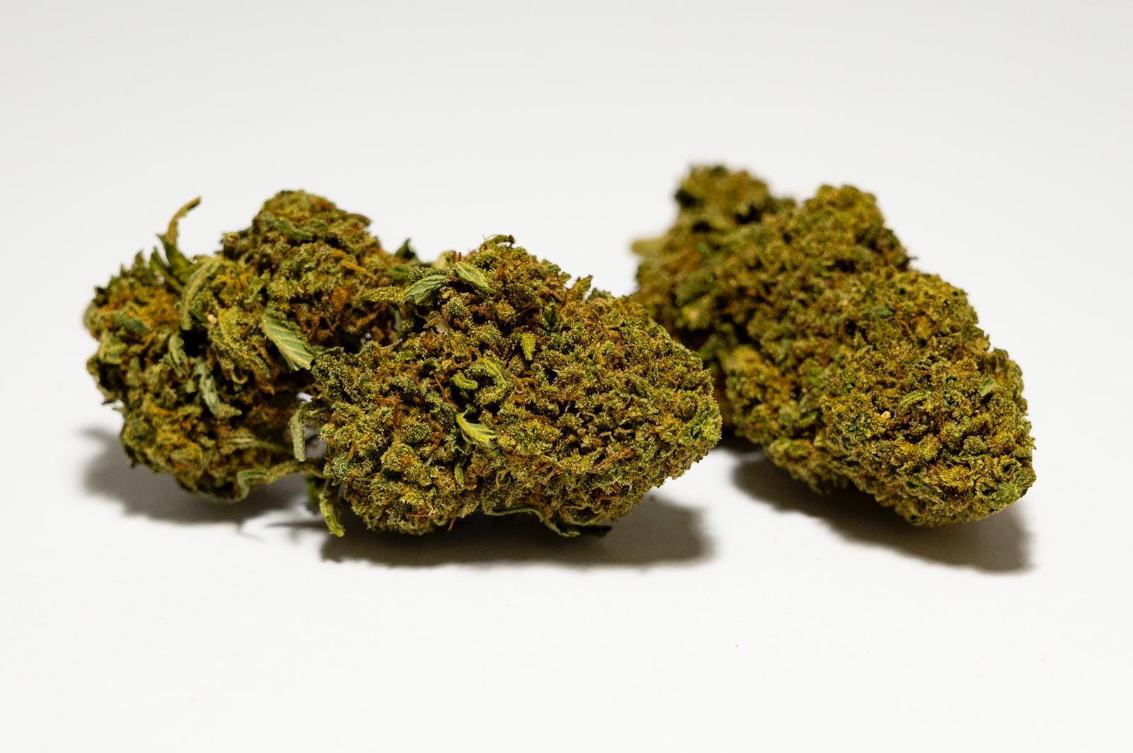 Pacchetto Degustativo Cannabis Legale CBD 5g