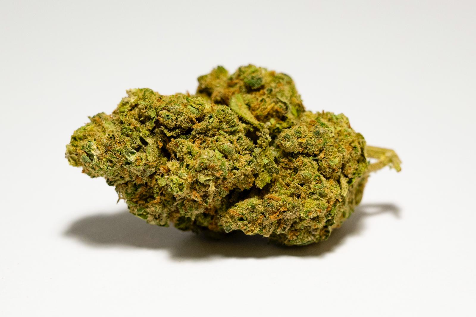 Pacchetto Degustativo Cannabis Legale CBD 5g