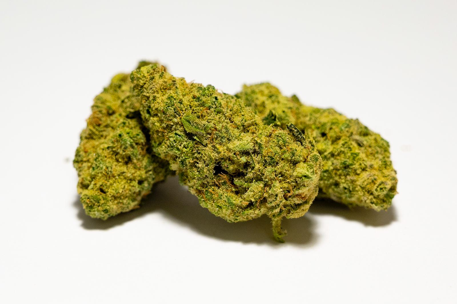 Pacchetto Degustativo Cannabis Legale CBD 5g