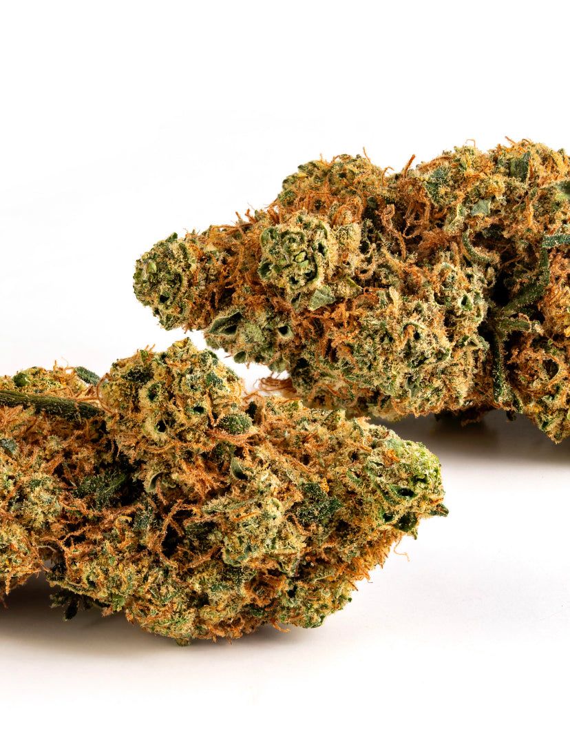 Frutto Proibito CBD Indoor CBD 18% THC 0,45%