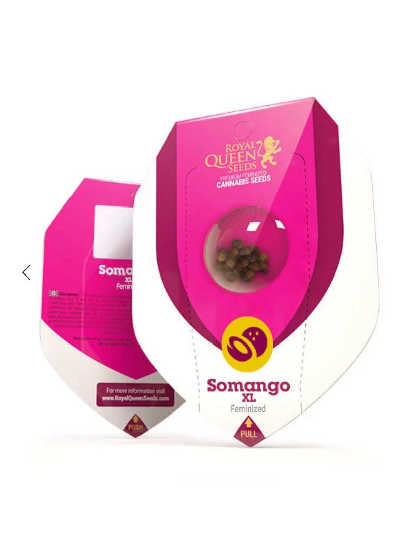 Royal Queen Seeds - Somango XL - Semi Di Cannabis Fem