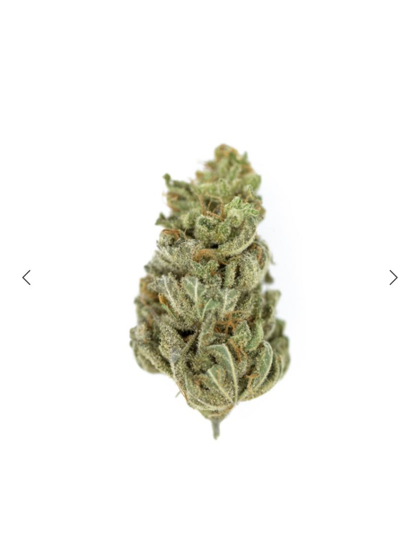 Royal Queen Seeds - Amnesia Haze - Semi Di Cannabis Fem