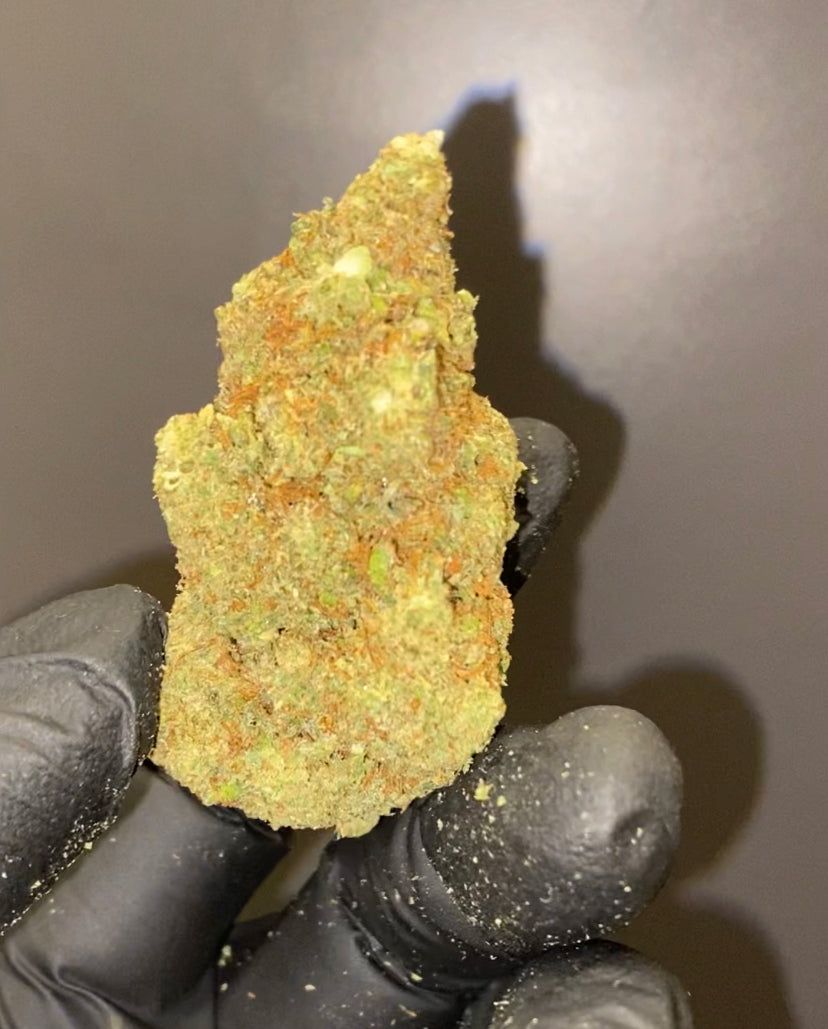 CBD Lemon Skunk qualità top