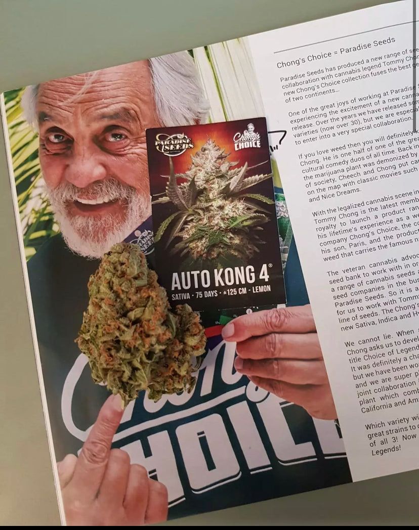 Paradise Seeds - Auto Kong 4 - Semi Di Cannabis Autofiorente