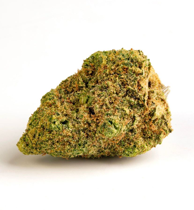 Canapa Light Indoor CBD Qualità Superiore by M.A.C