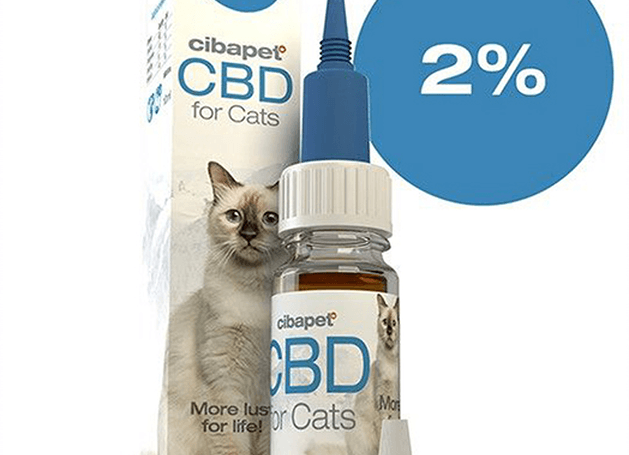 Olio CBD per Gatti 2% - Cibapet