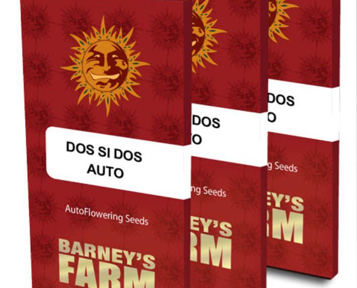 Barney's Farm - Dos Si Dos Auto - Semi Di Cannabis Autofiorenti