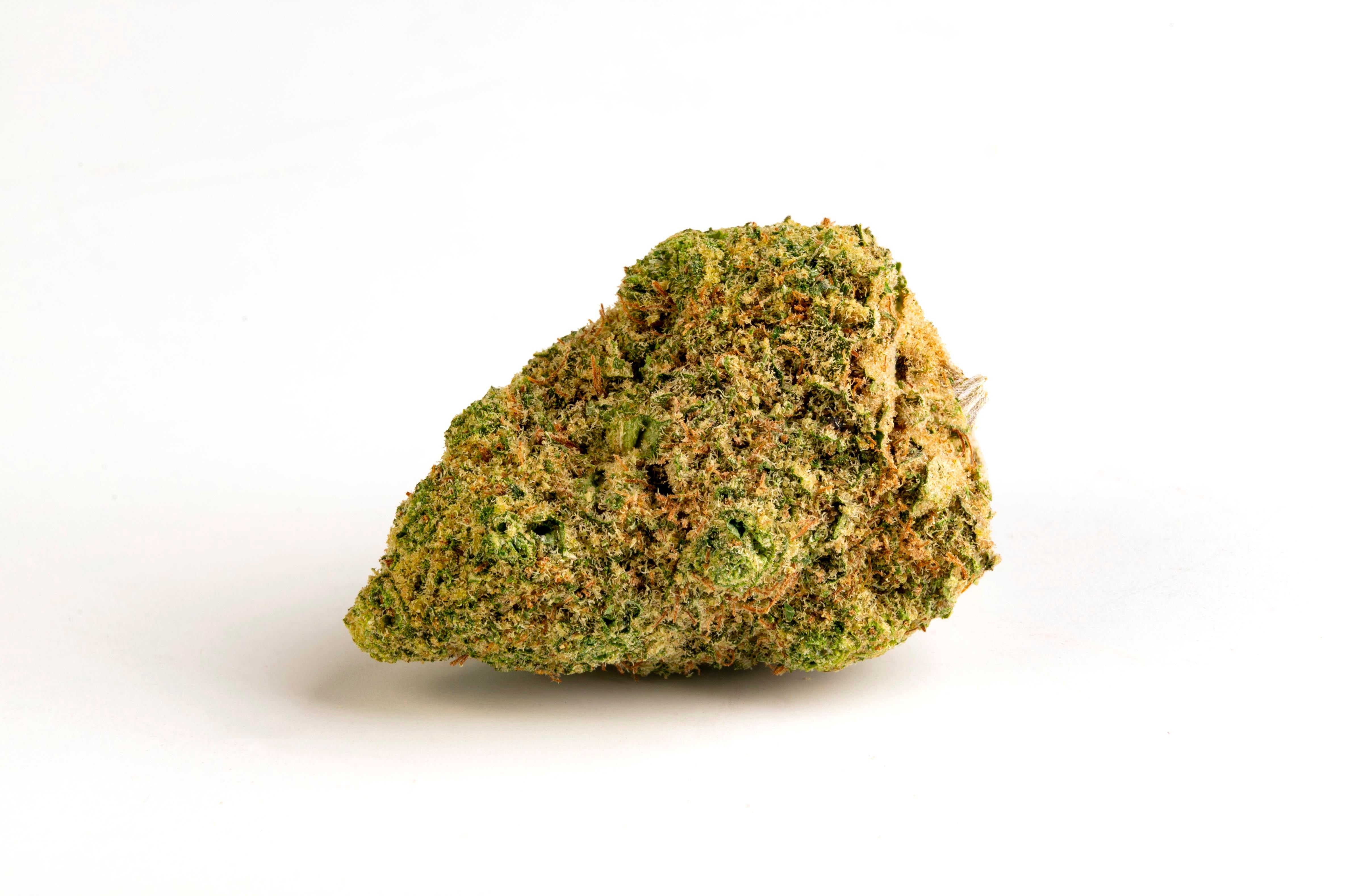 Canapa Light Indoor CBD Qualità Superiore by M.A.C