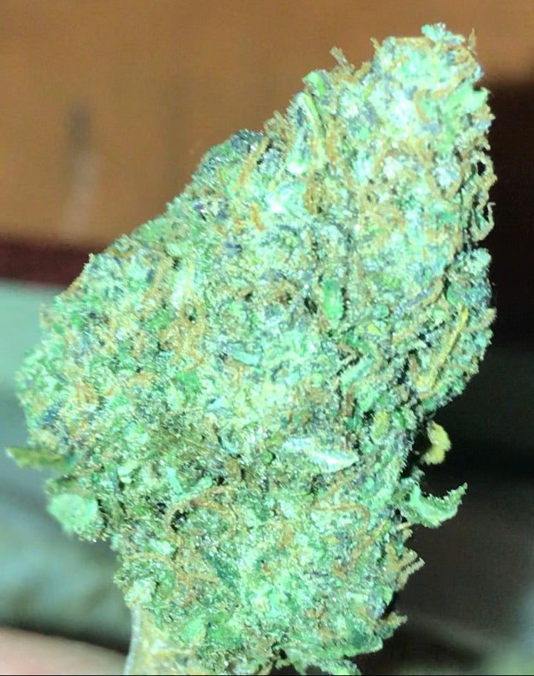 CBD Indoor Moon Cherry Cannabis Light