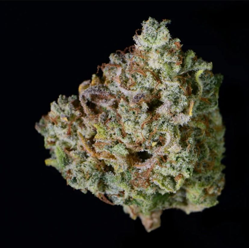 Fast Bud 420 - Gelato Auto - Semi Di Cannabis Autofiorenti