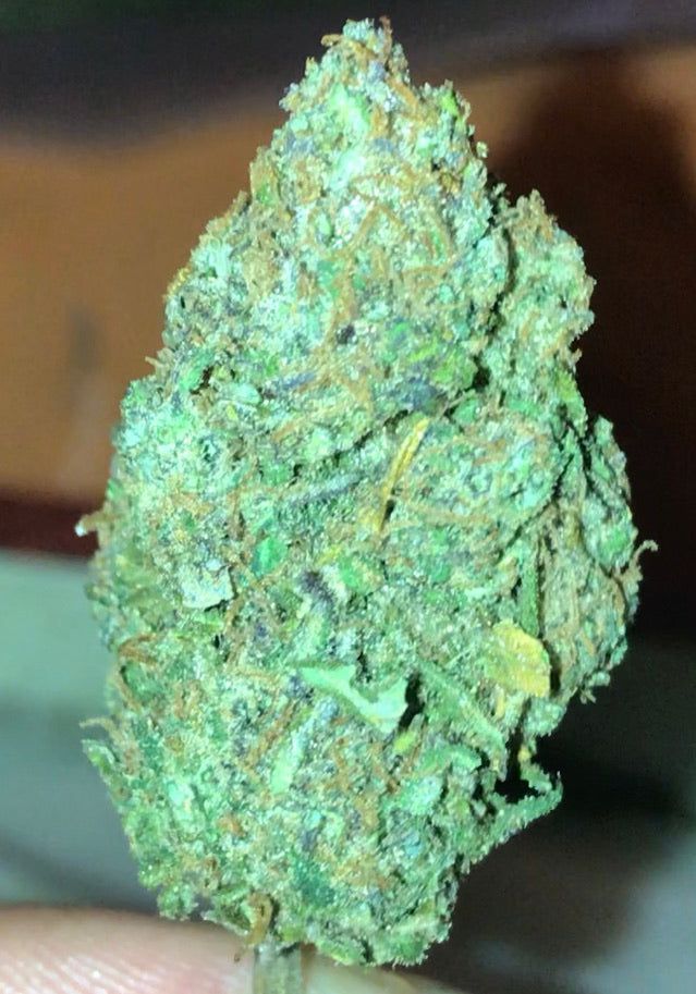 CBD Indoor Moon Cherry Cannabis Light