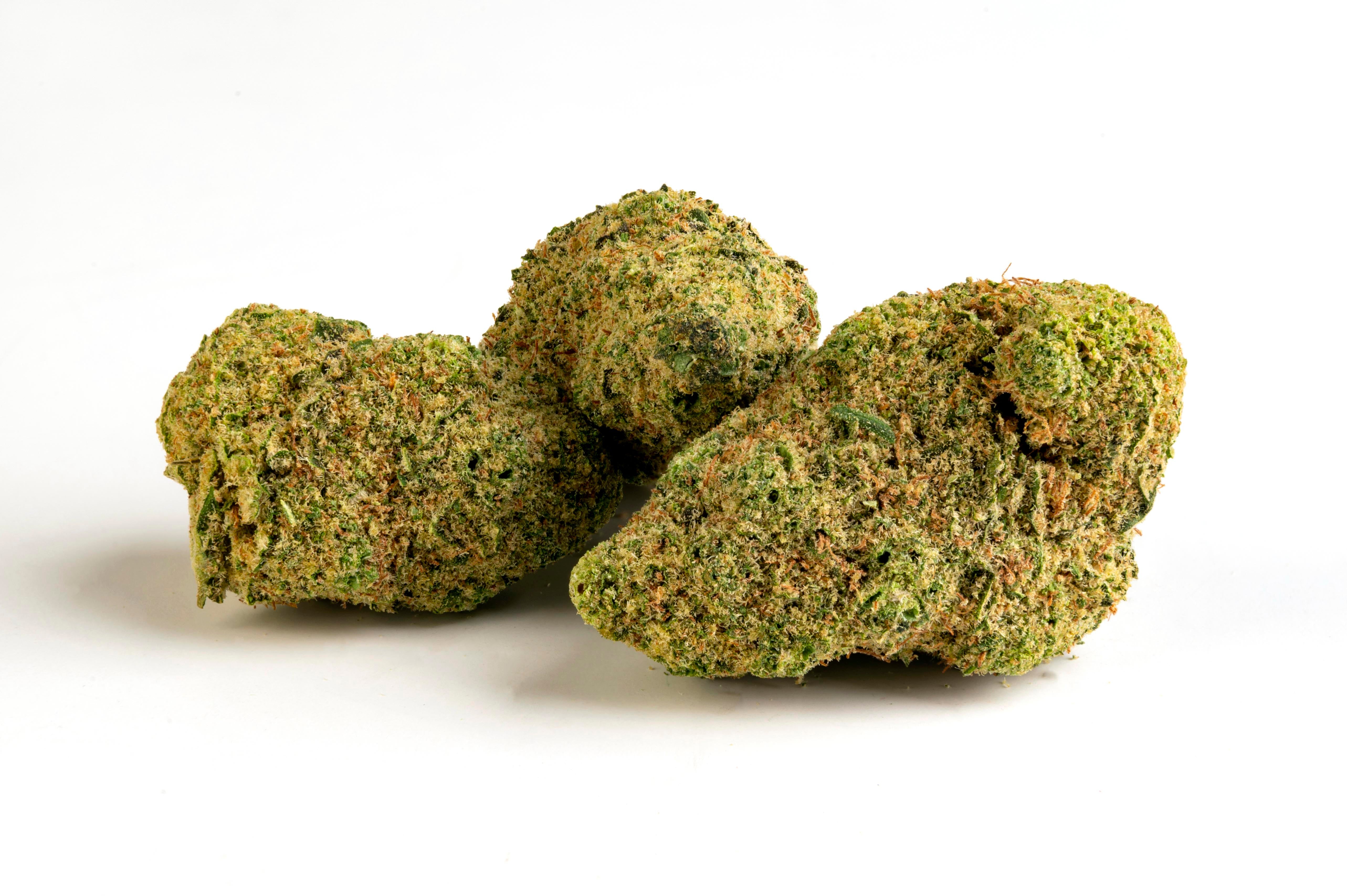 Canapa Light Indoor CBD Qualità Superiore by M.A.C