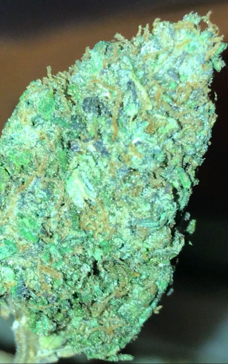 CBD Indoor Moon Cherry Cannabis Light