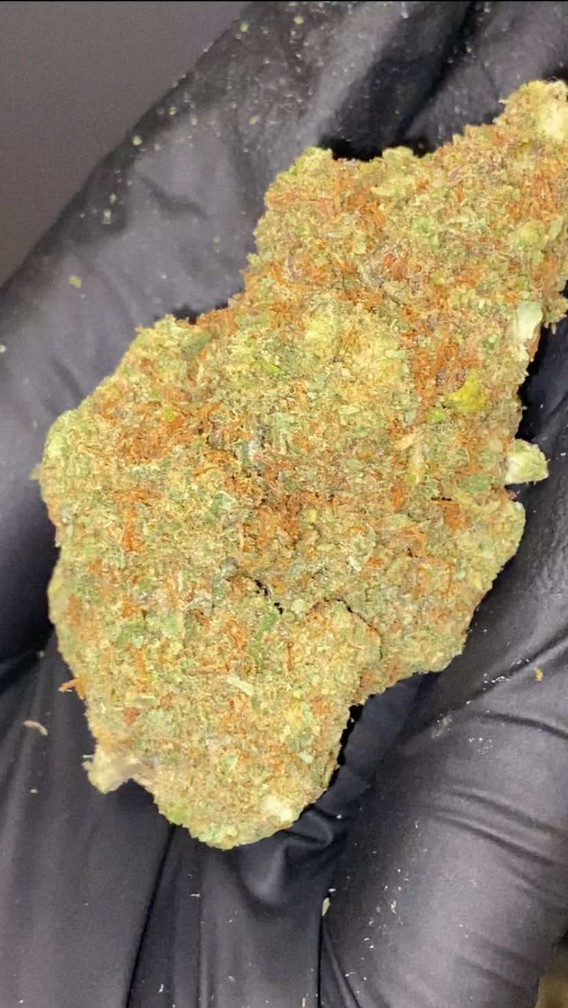 CBD Lemon Skunk qualità top