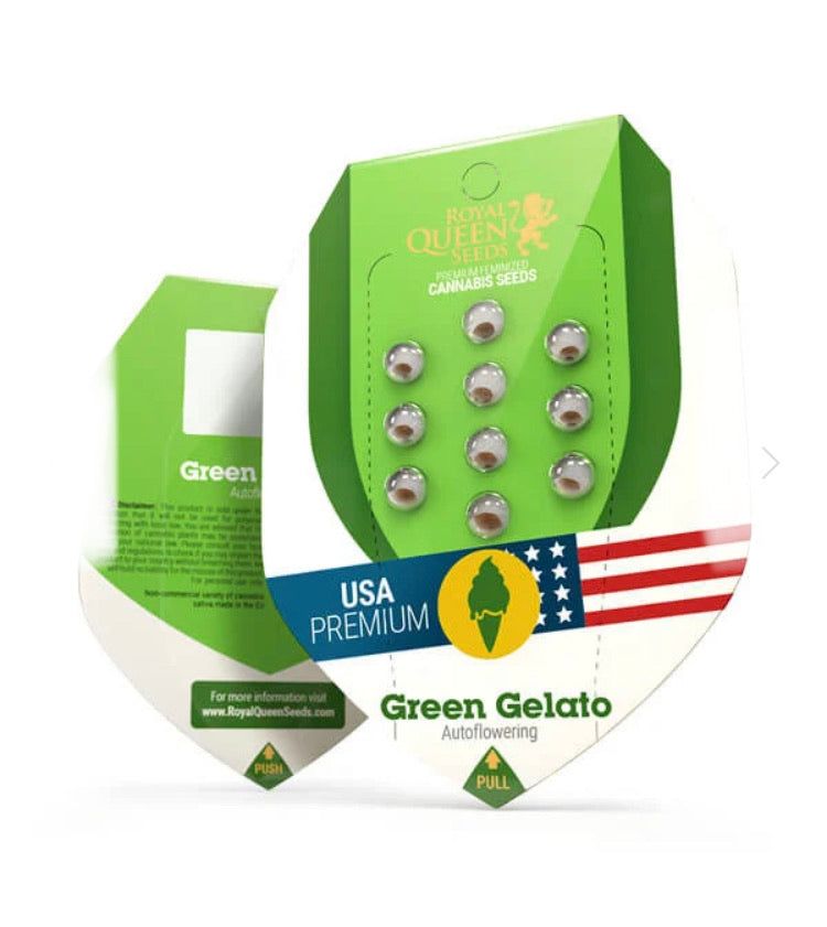 Semi Cannabis Green Gelato Auto - Autofiorente Potente