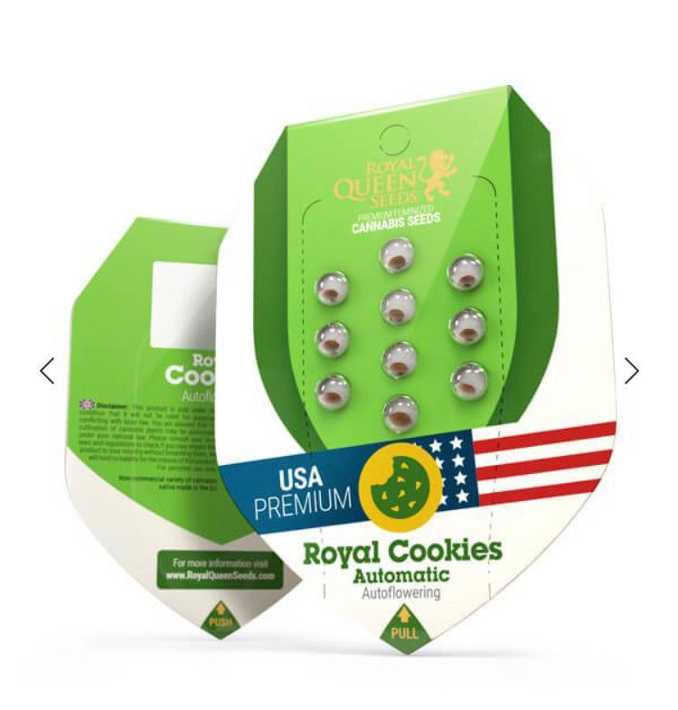 Royal Cookies Auto Semi Di Cannabis Autofiorenti
