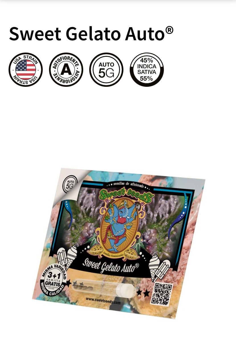 Sweet Seeds - Sweet Gelato Auto - Semi Di Cannabis Autofiorenti