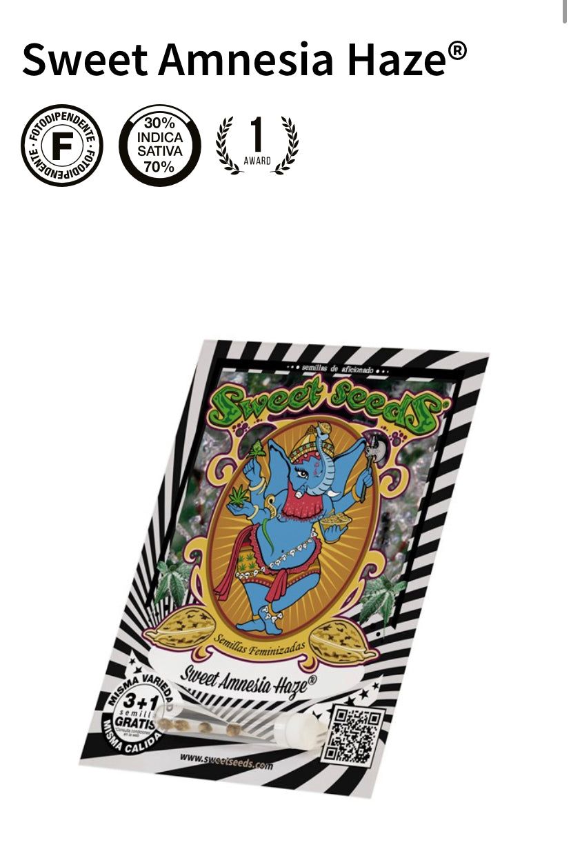 Sweet Seeds - Sweet Amnesia Haze - Semi Di Cannabis Femminizzati
