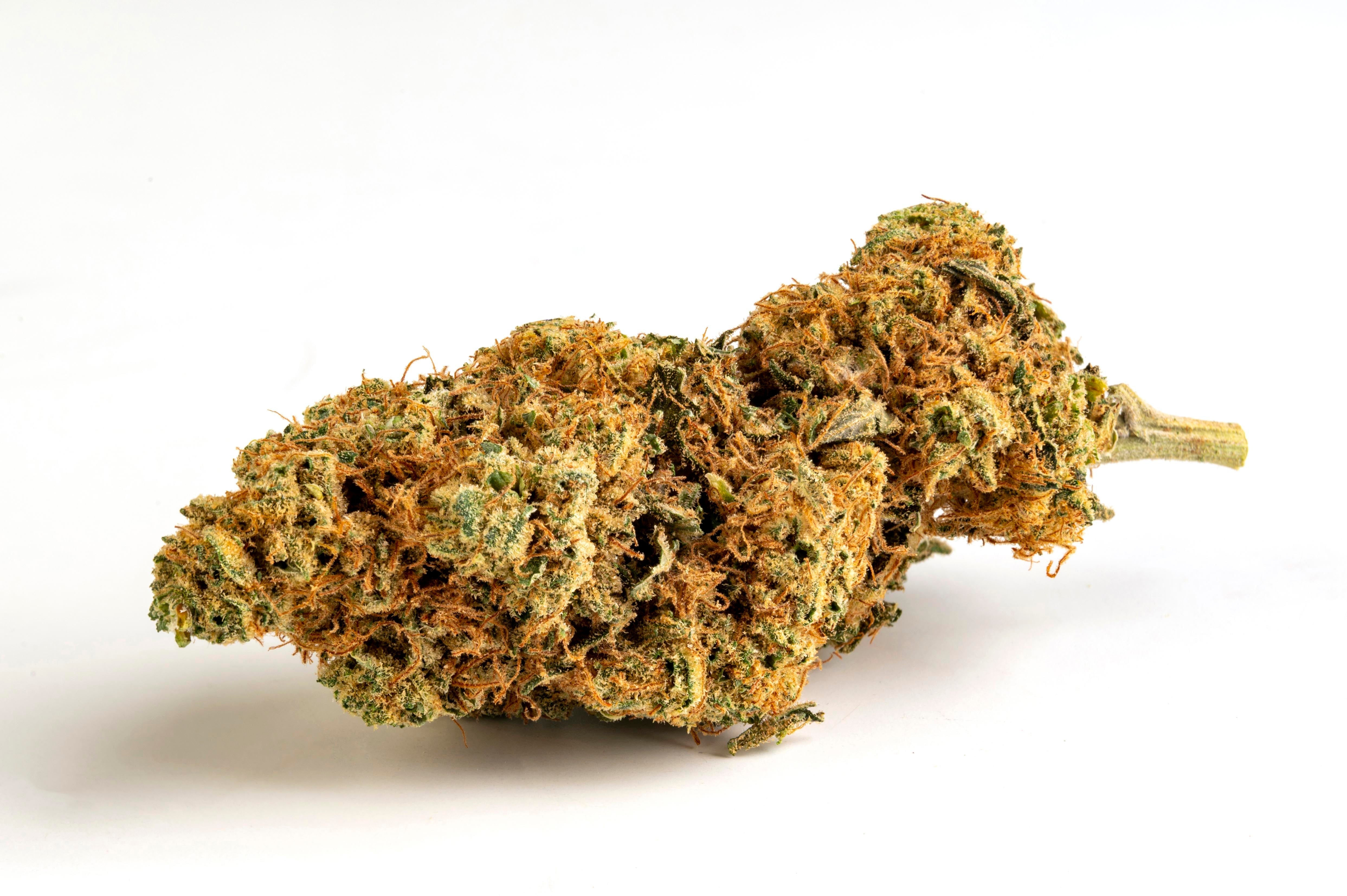 Frutto Proibito CBD Indoor CBD 18% THC 0,45%