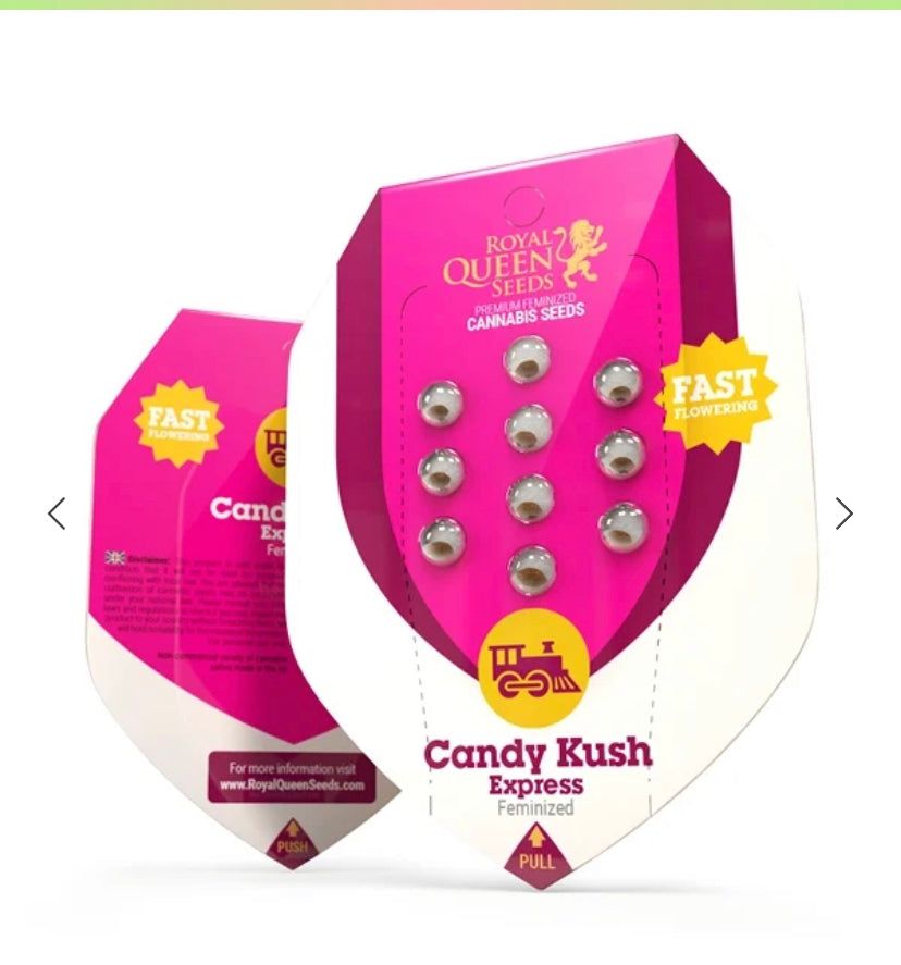 Royal Queen Seeds - Candy Kush Express - Fast flowering - Semi Di Cannabis