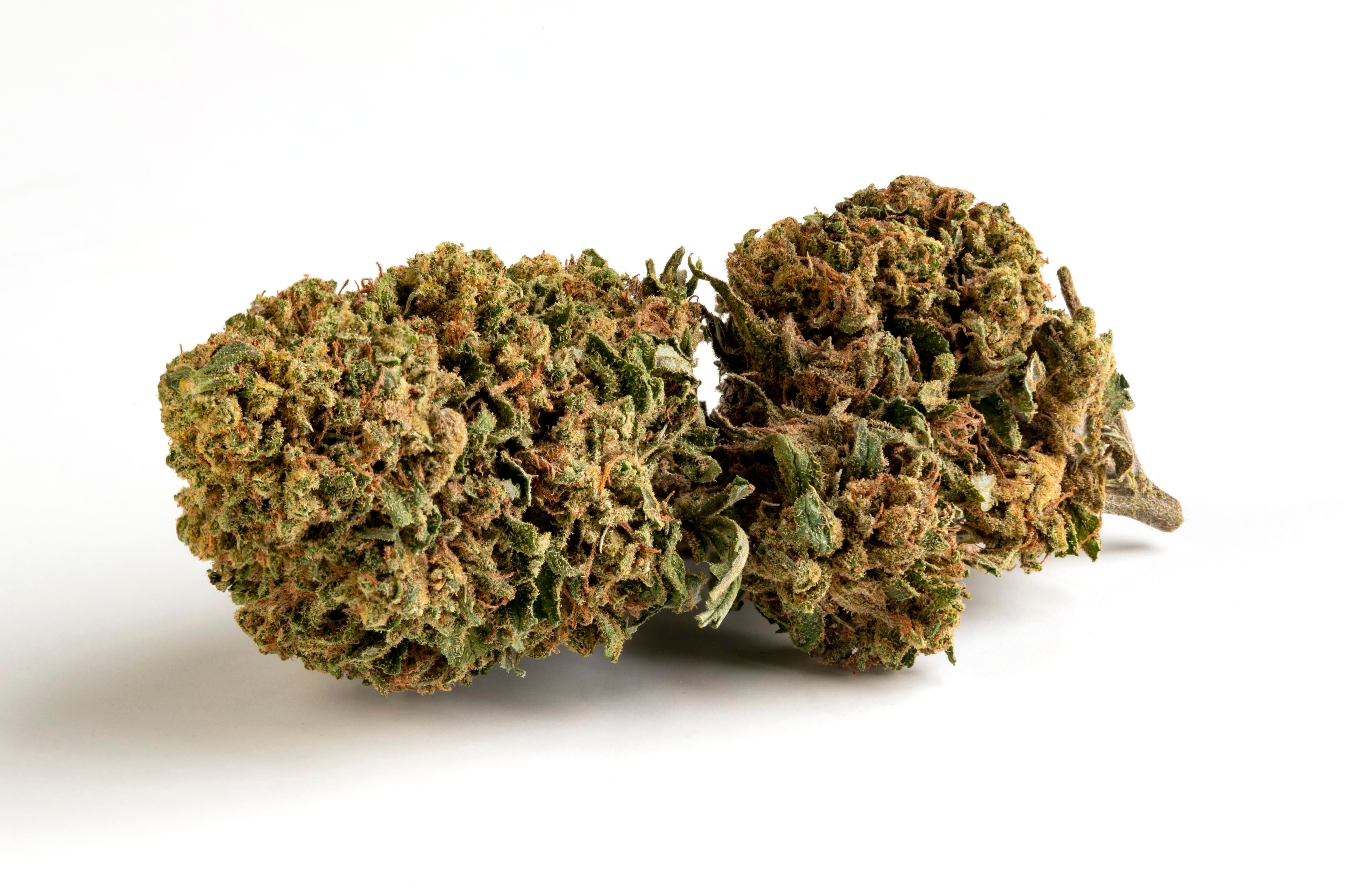 BORIS KIWI 2.0 CBD OUTDOOR