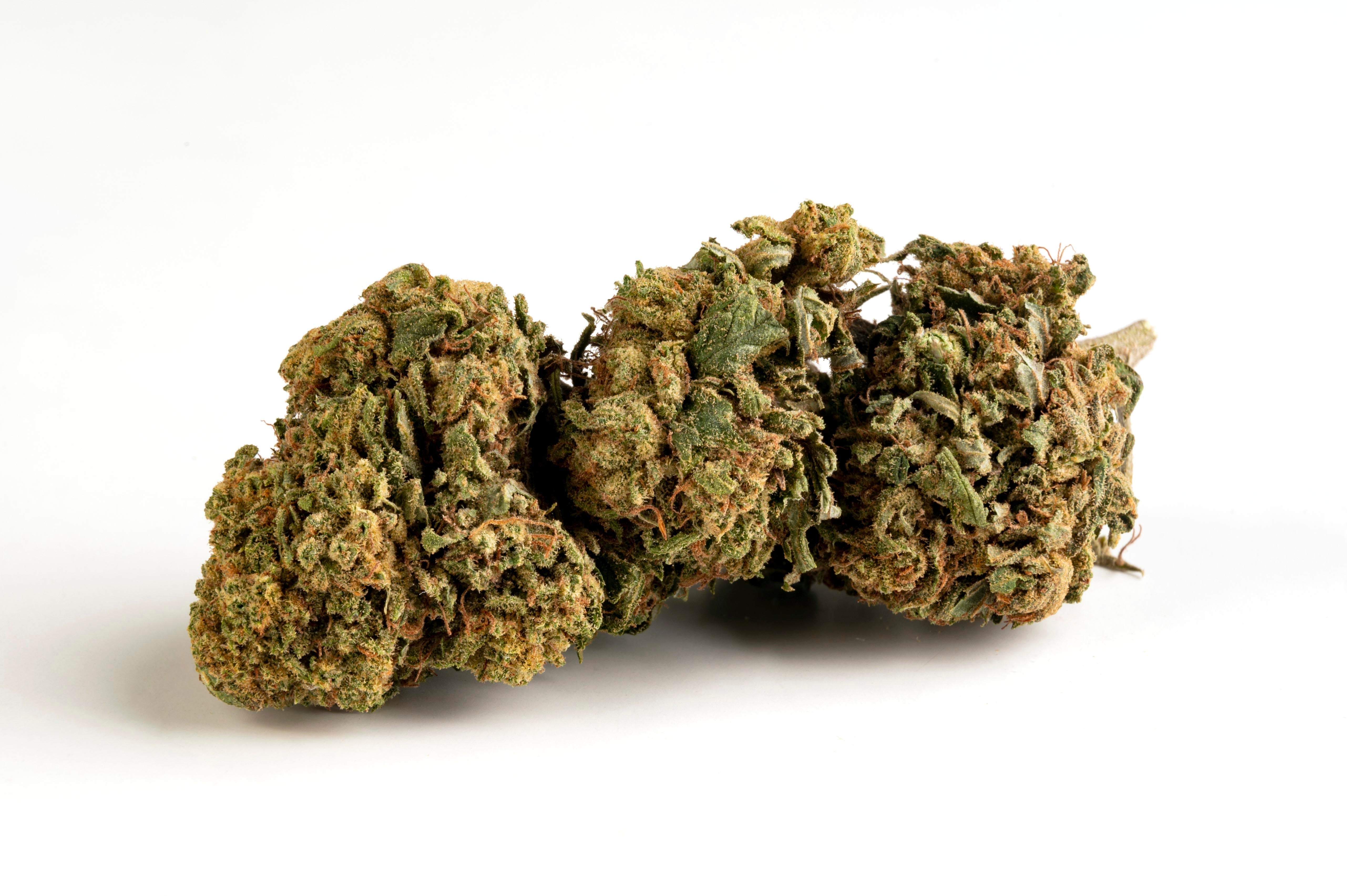 BORIS KIWI 2.0 CBD OUTDOOR