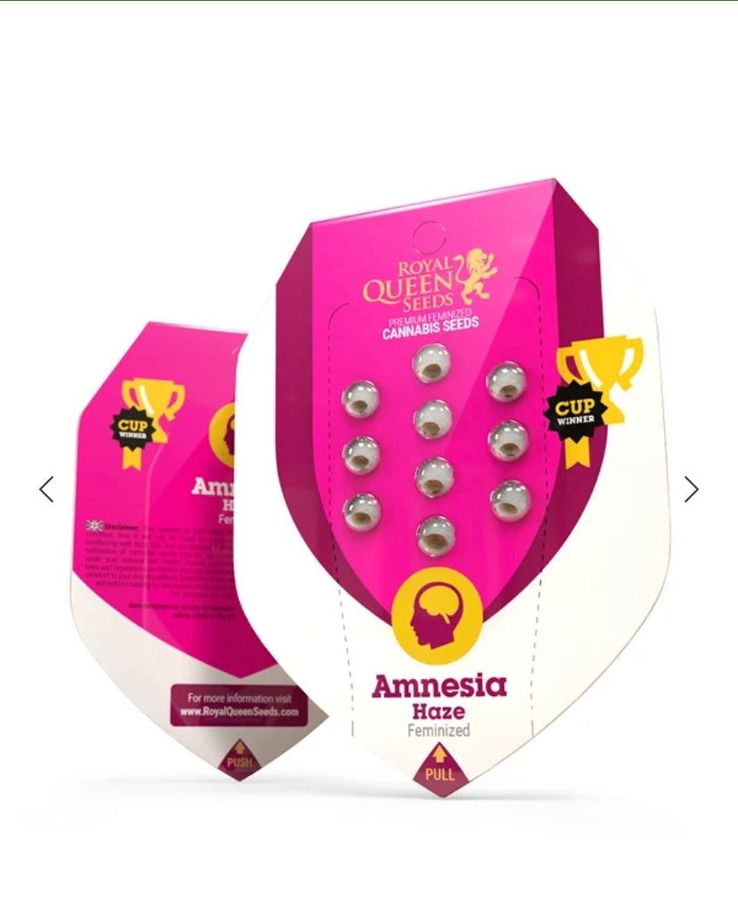 Royal Queen Seeds - Amnesia Haze - Semi Di Cannabis Fem