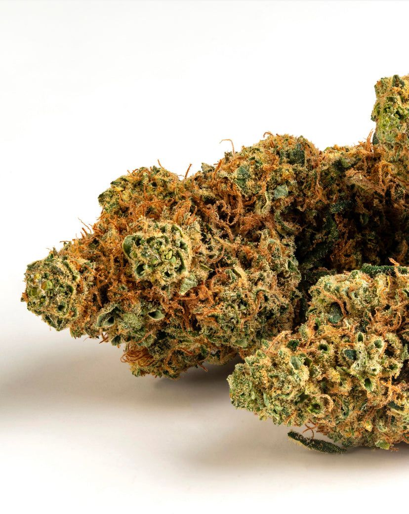 Frutto Proibito CBD Indoor CBD 18% THC 0,45%