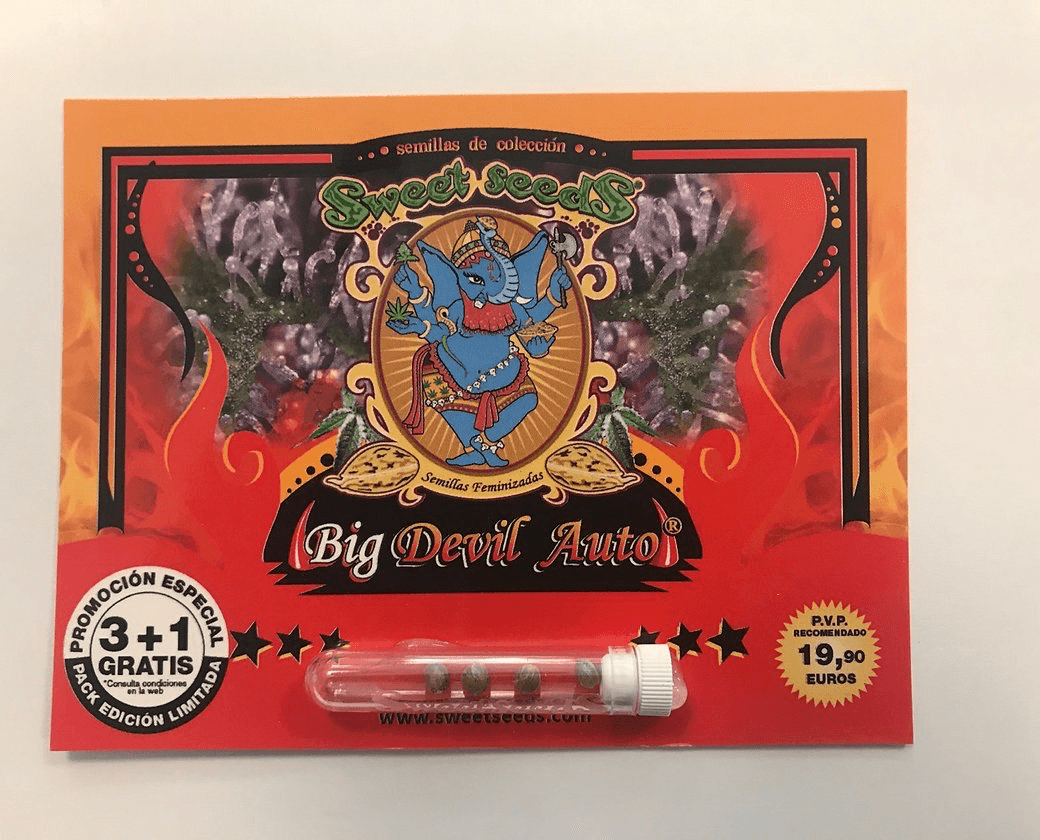 Sweet Seed - Big Devil Auto - Semi Di Cannabis Autofiorente