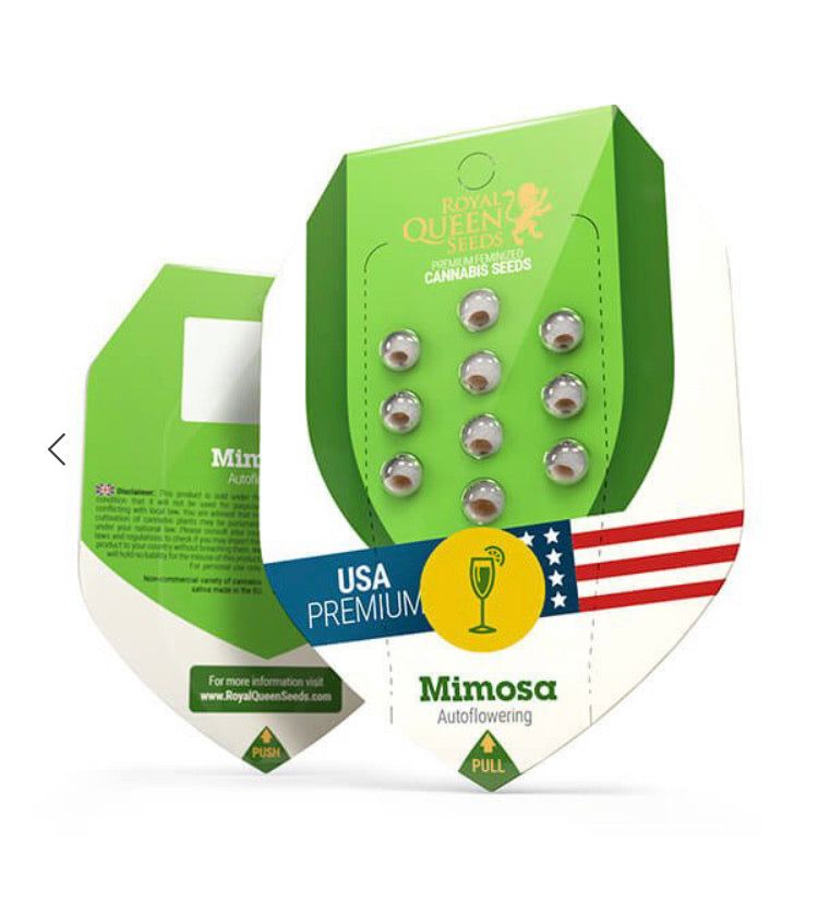 Royal Queen Seeds - Mimosa Auto - Semi Di Cannabis Autofiorente