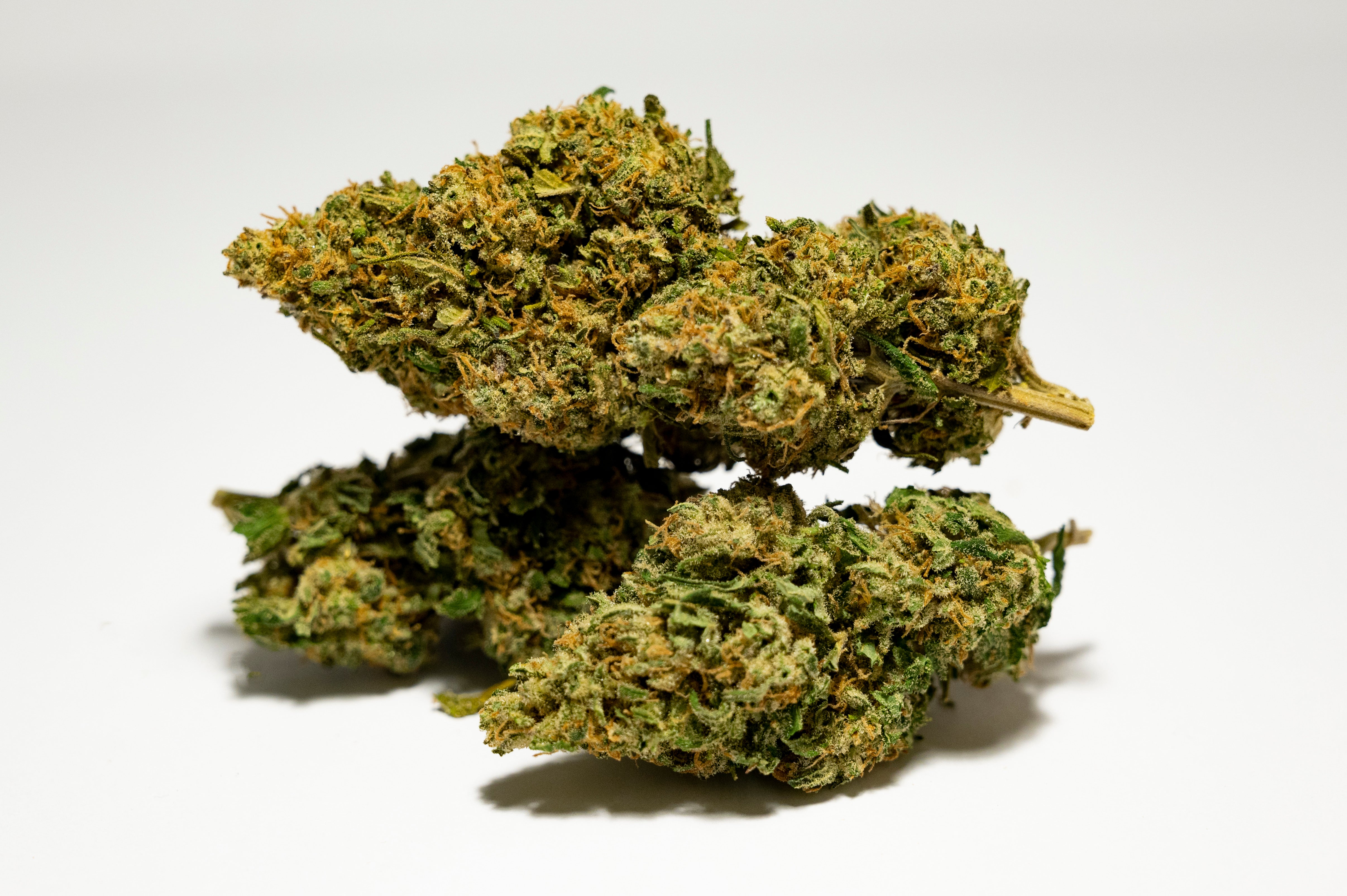 CBD Indoor Moon Cherry Cannabis Light