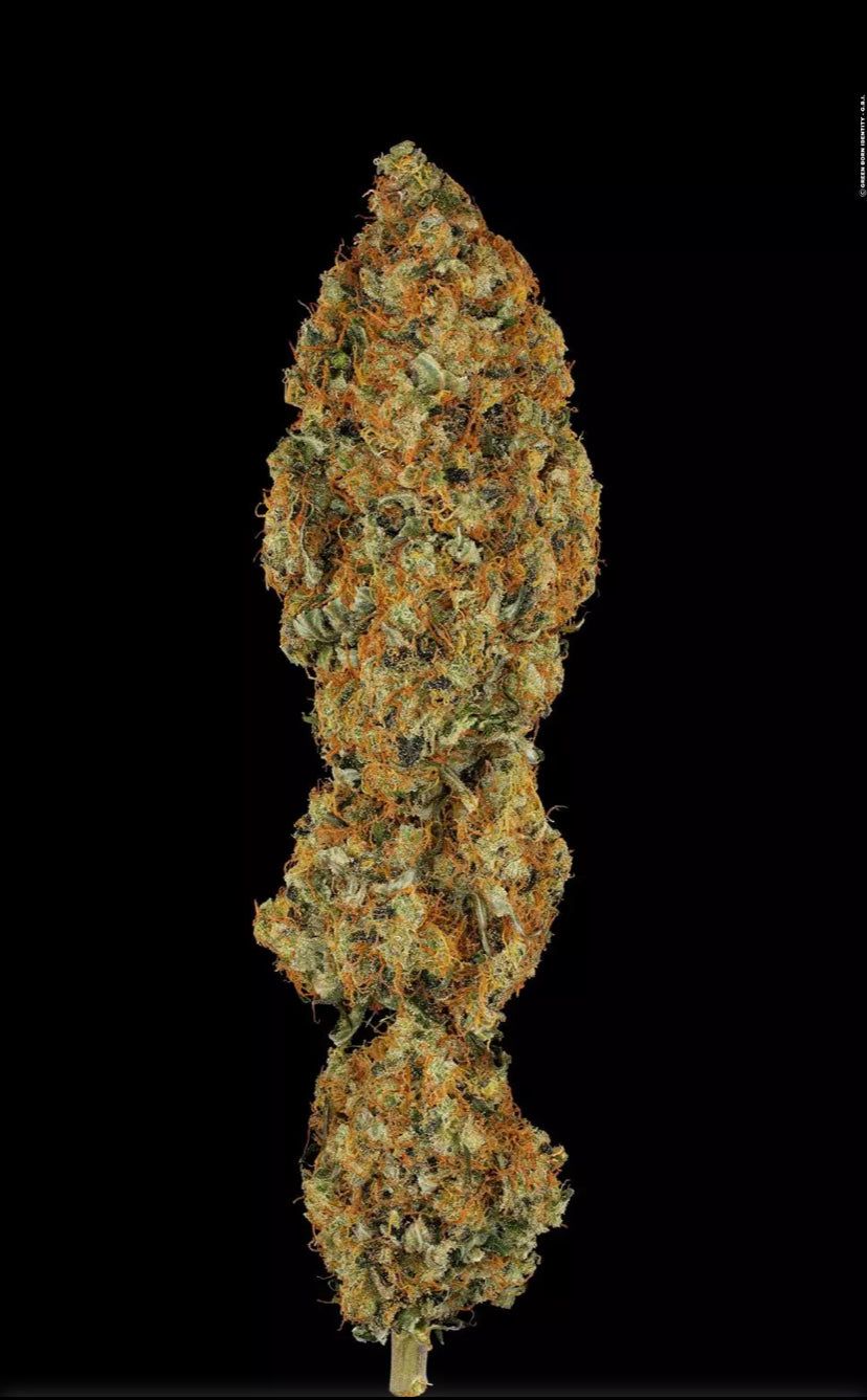 L.A. Amnesia - Paradise Seeds - Semi Di Cannabis Femminizzati