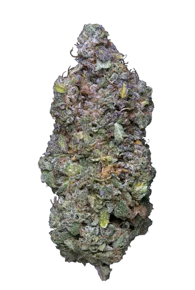 Infiorescenza Lemon Butter Cannabis Light CBD 15,97% con tricomi visibili e tonalità viola, coltivata indoor per qualità premium.